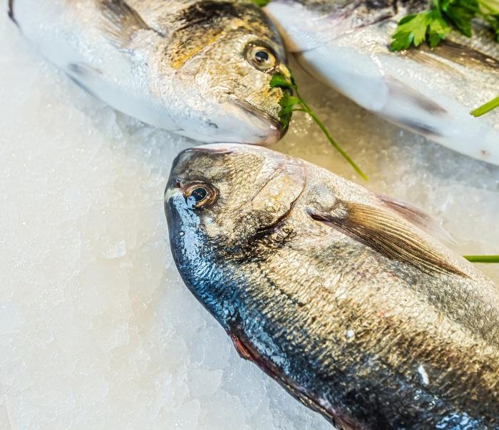 Poissonnerie en ligne Coriscafish, grossiste en produit de la mer Bastia  Corse