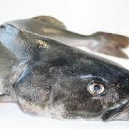 Morue charbonnière étêtée et vidée