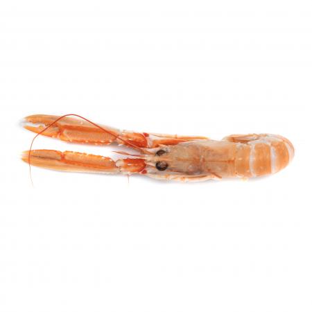 Langoustines Cuites Moyennes