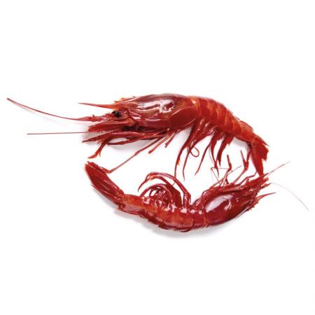 Crevette entière crue Carabinero 