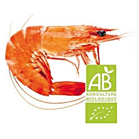 Crevette OSO cuite Bio 10/20 (grosse)