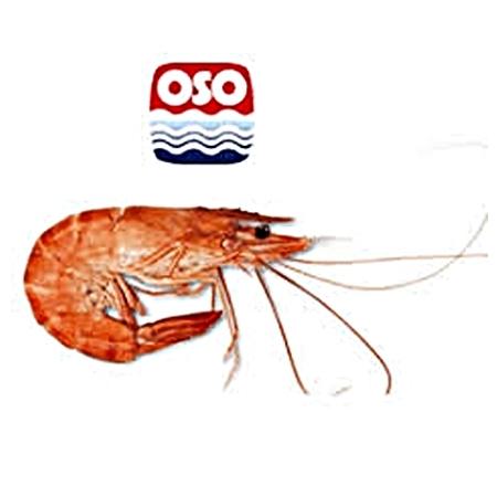 Crevette Cuite Sauvage OSO 10/20 (grosse)