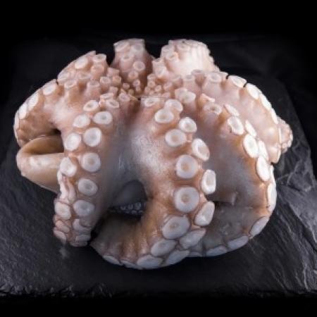 Poulpe 1500/2000 Madagascar