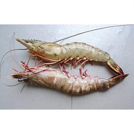 Crevette Entière Crue sauvage  16/20 par Kg 