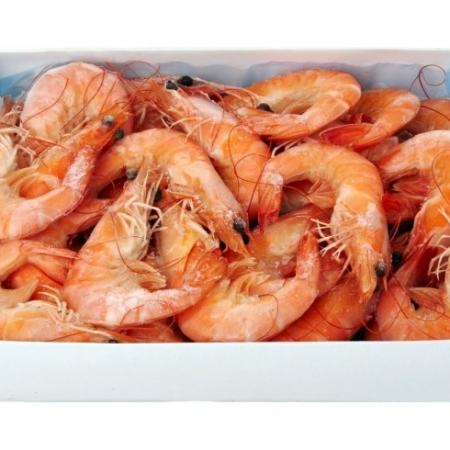 Crevette entière cuite Equateur 40/60 par kilos