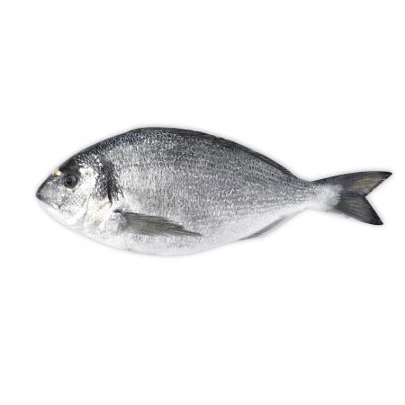 Dorade d'Elevage 300/400g
