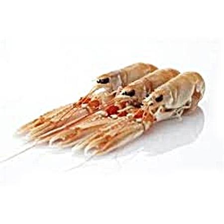 Langoustine crue 13/15 boite 800g