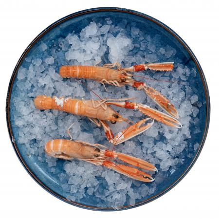 Langoustines Cuites Grosses