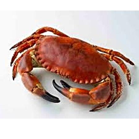 Tourteau Pasteurisé 400/700g Cashelmara