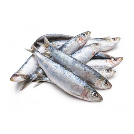 Sardine Entière