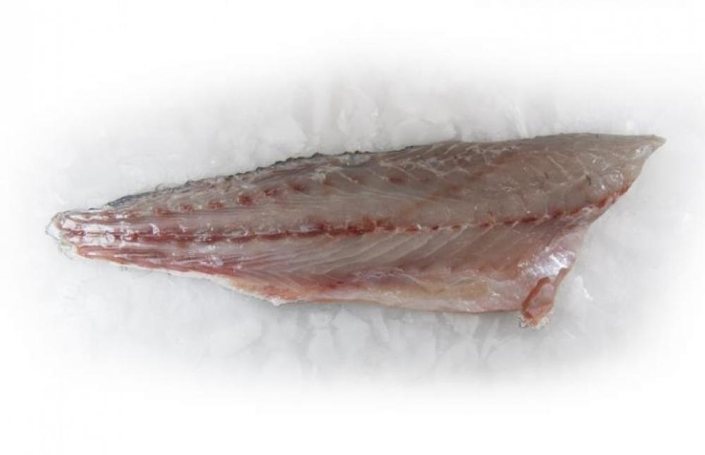 Filet de Maigre Avec Peau