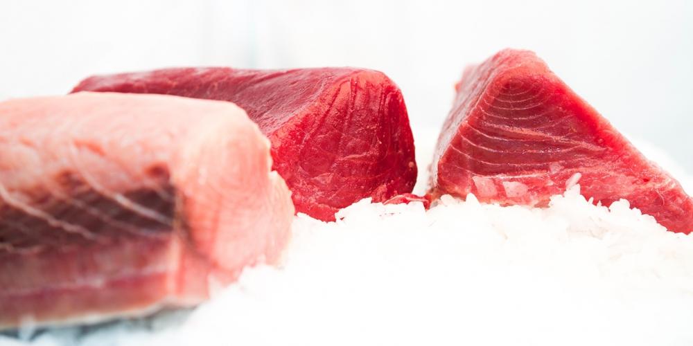 Thon Albacore