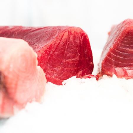 Thon Albacore