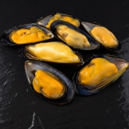 Moule demi-coquille cuite
