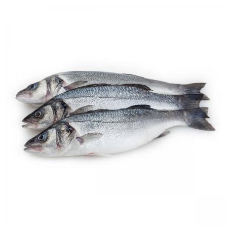 Bar sauvage 1/2 Kg