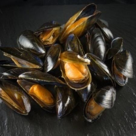 Moule pleine eau