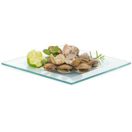 La Palourde Japonaise Crue