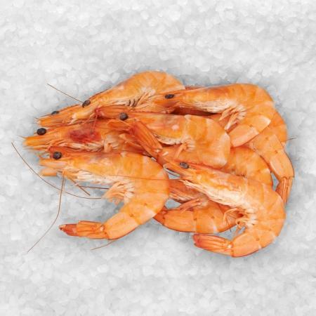 Crevette Sauvage Cuite Très Grosses