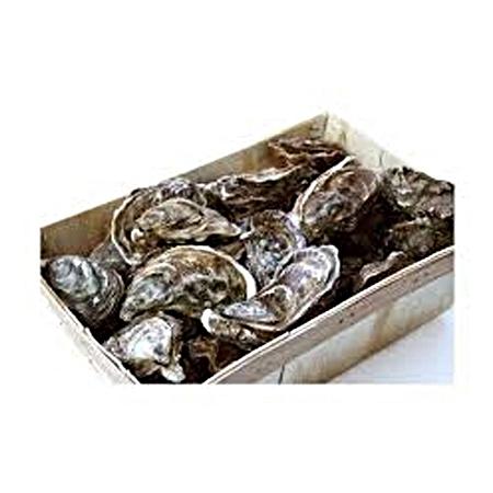 Huître Bretonne N°3