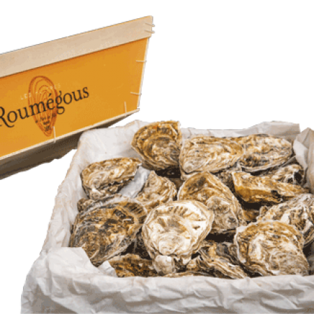 Huîtres ROUMEGOUS Spécial Tradition