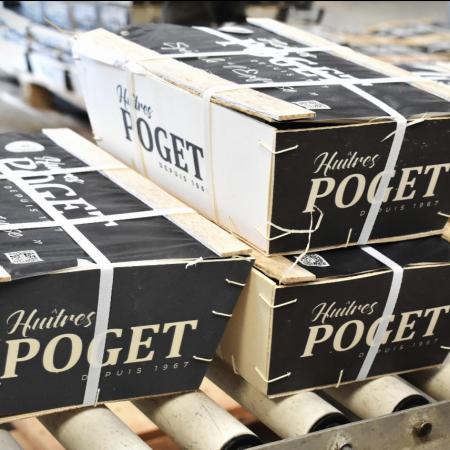 Huître Excellence Poget N°3