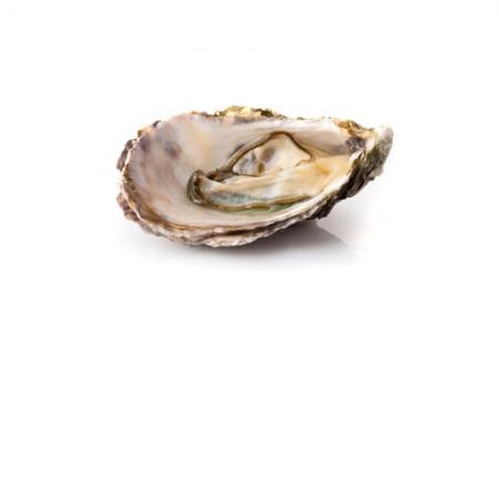 Huître Fines de Claire N°3