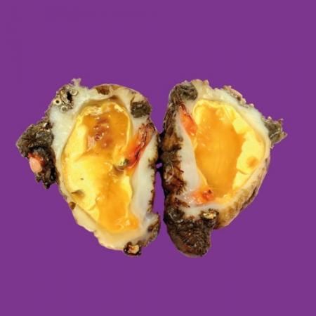 Violet Méditerranée