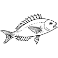 Poissonnerie en ligne Coriscafish, grossiste en produit de la mer Bastia  Corse